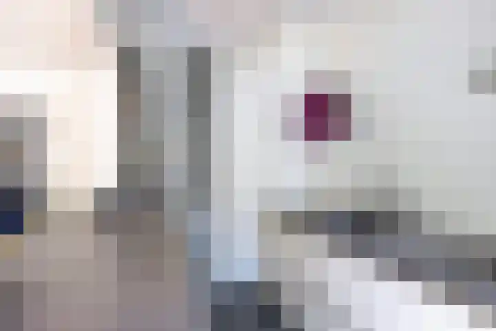Petrus Dondersstraat 44 Eindhoven thumbnail 13