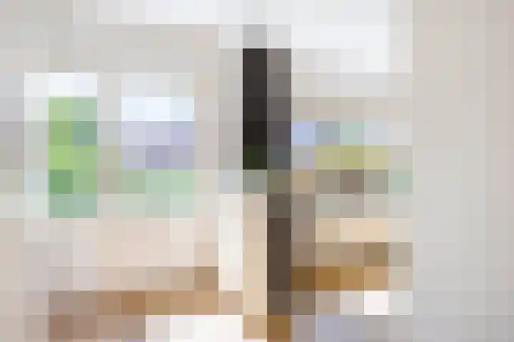 Petrus Dondersstraat 44 Eindhoven thumbnail 19