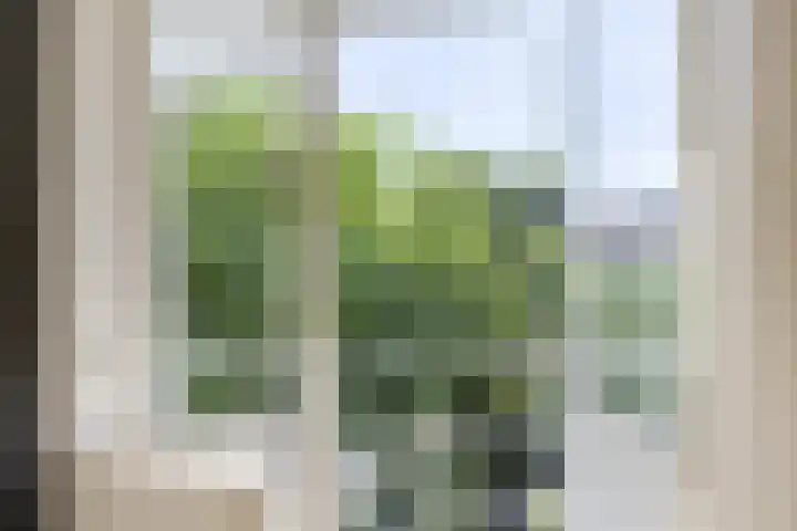 Petrus Dondersstraat 44 Eindhoven thumbnail 20