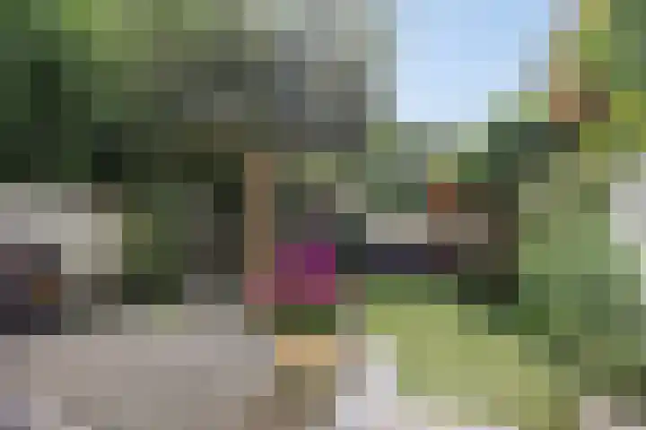 Petrus Dondersstraat 44 Eindhoven thumbnail 36