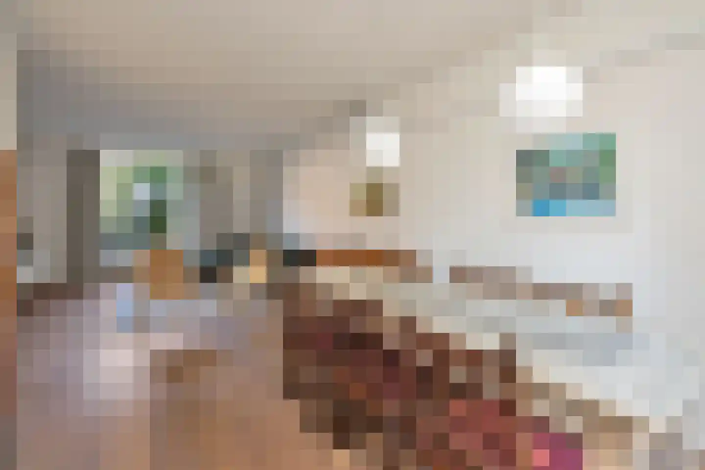 Petrus Dondersstraat 58 Eindhoven thumbnail 18