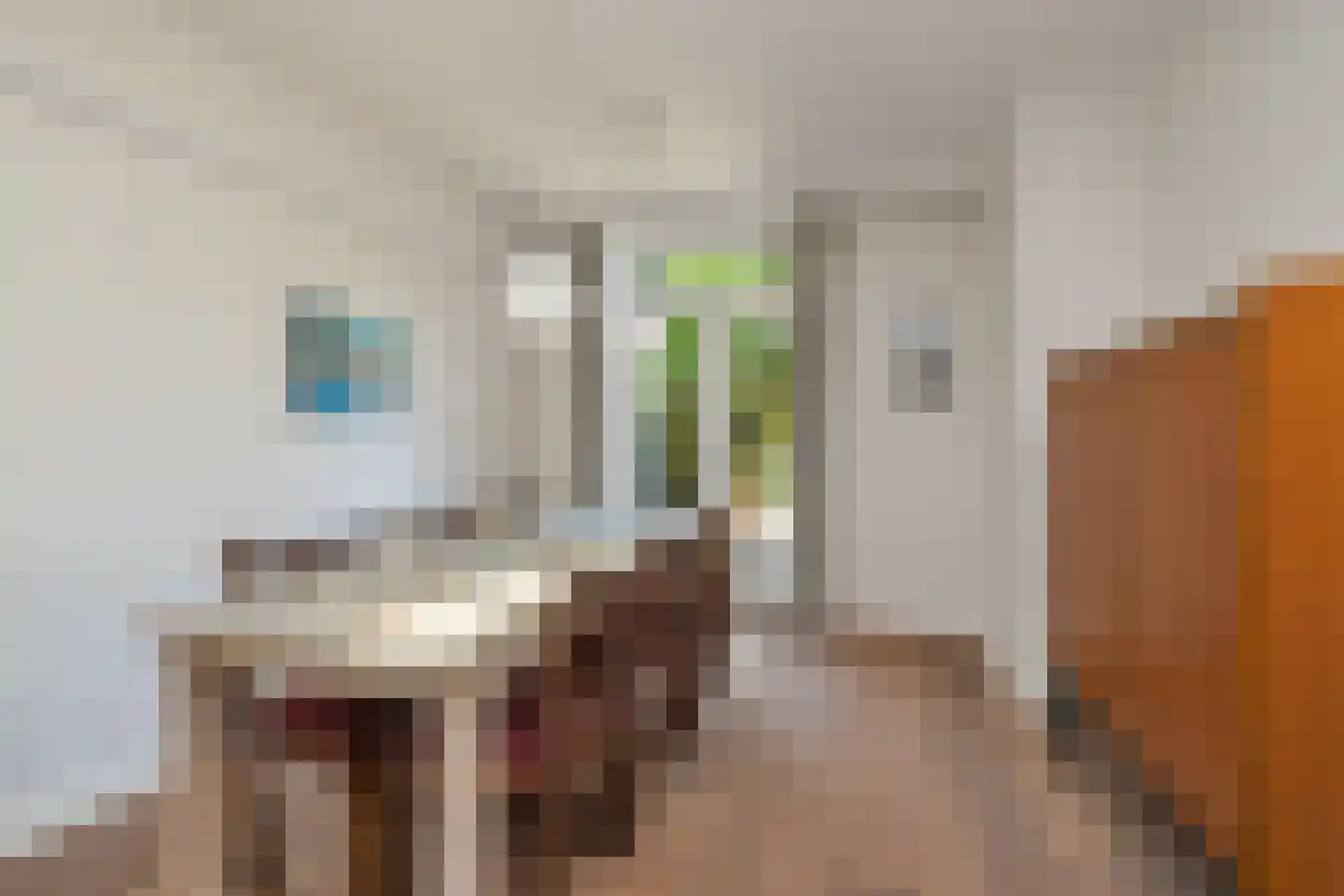 Petrus Dondersstraat 58 Eindhoven thumbnail 19