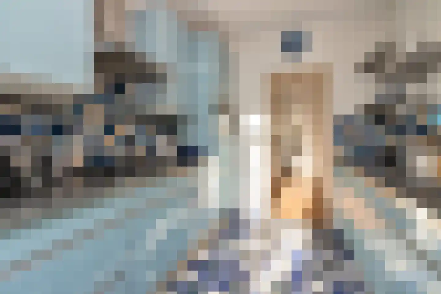 Petrus Dondersstraat 58 Eindhoven thumbnail 25