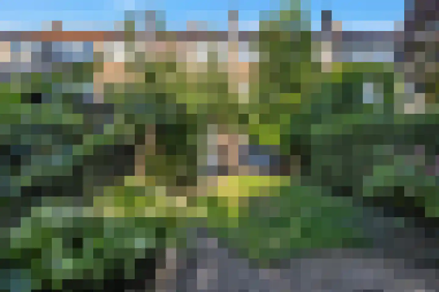 Petrus Dondersstraat 58 Eindhoven thumbnail 28