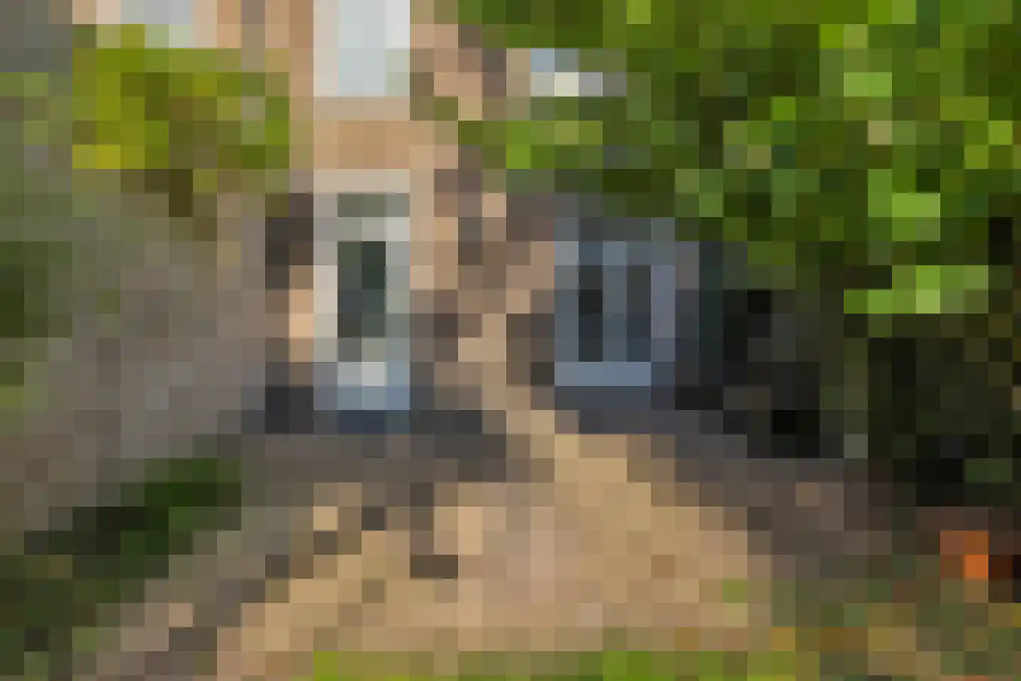 Petrus Dondersstraat 58 Eindhoven thumbnail 29