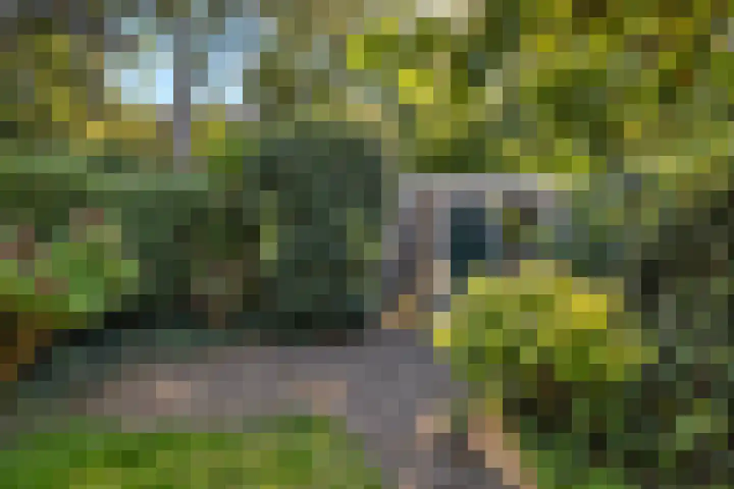 Petrus Dondersstraat 58 Eindhoven thumbnail 31
