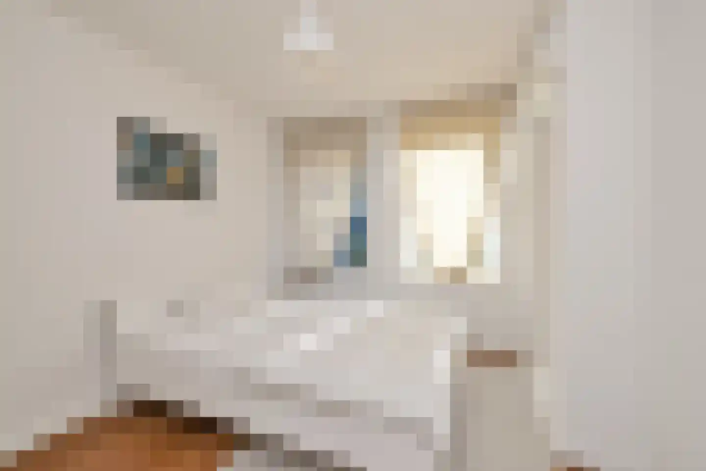 Petrus Dondersstraat 58 Eindhoven thumbnail 45