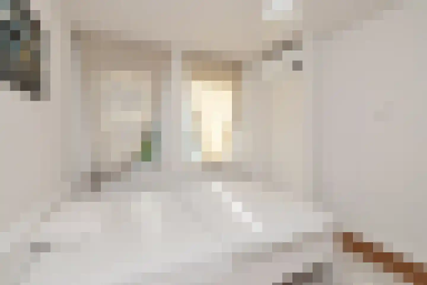 Petrus Dondersstraat 58 Eindhoven thumbnail 46