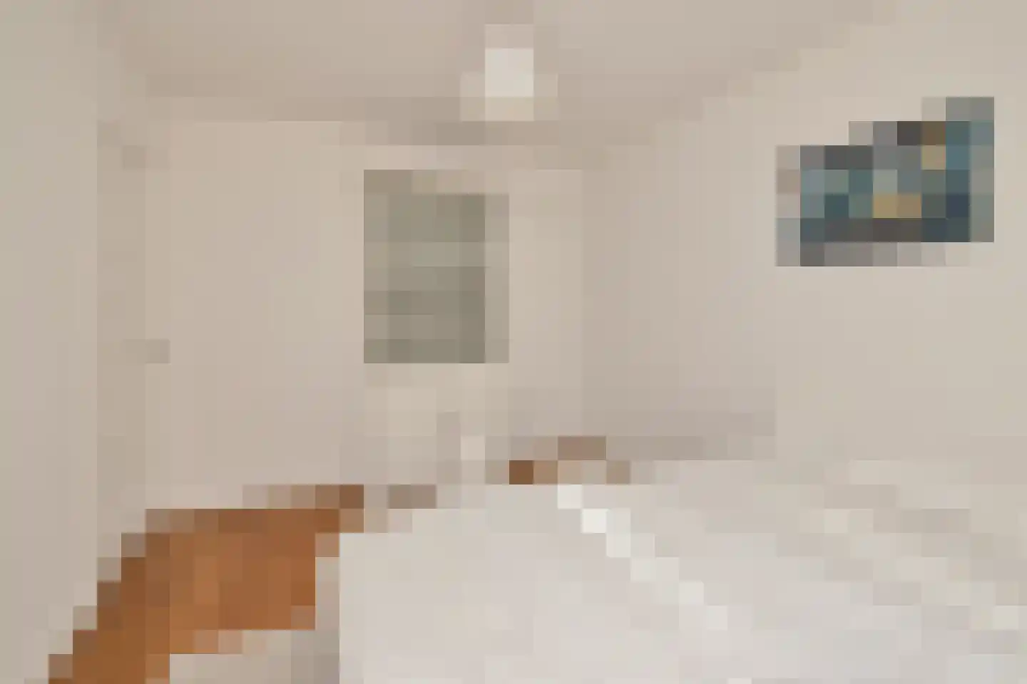 Petrus Dondersstraat 58 Eindhoven thumbnail 47