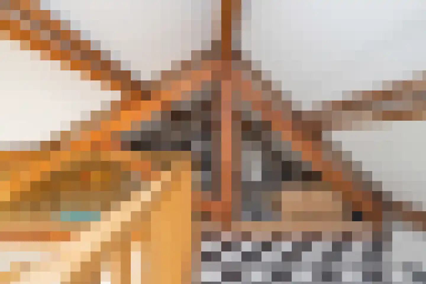 Petrus Dondersstraat 58 Eindhoven thumbnail 51