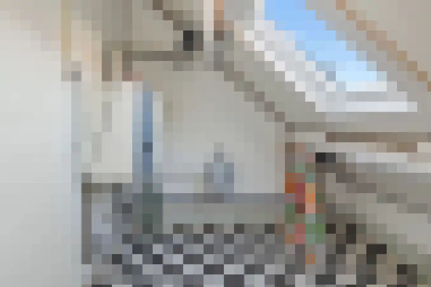 Petrus Dondersstraat 58 Eindhoven thumbnail 55