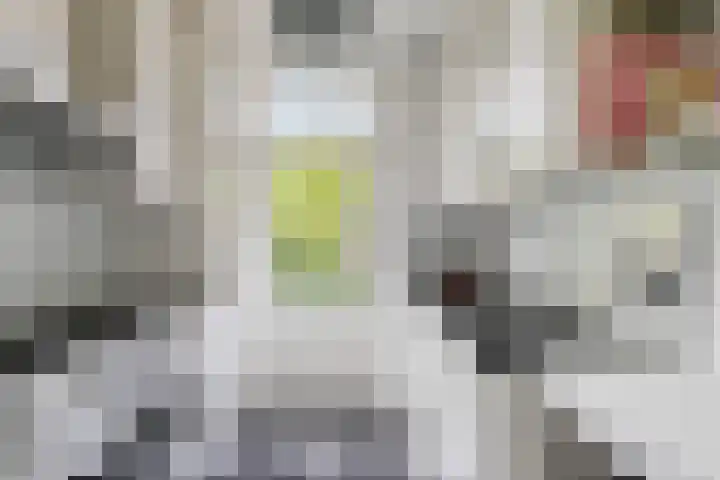 Petrus Dondersstraat 76 Eindhoven thumbnail 13