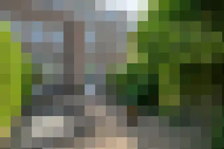 Petrus Dondersstraat 76 Eindhoven thumbnail 35