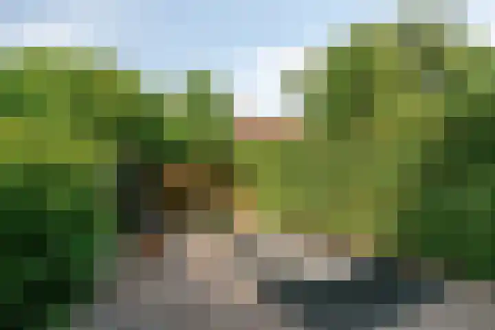 Petrus Dondersstraat 76 Eindhoven thumbnail 37