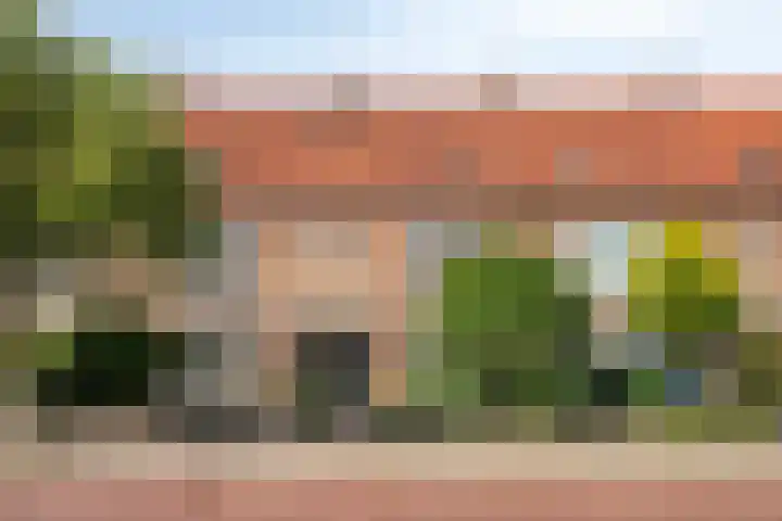 Petrus Dondersstraat 76 Eindhoven thumbnail 41