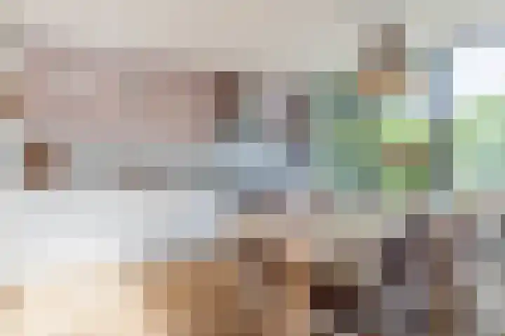 Petrus Dondersstraat 77 Eindhoven thumbnail 12