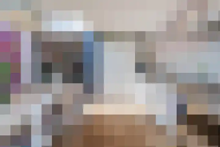 Petrus Dondersstraat 77 Eindhoven thumbnail 18