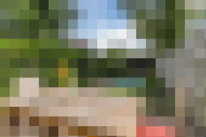 Petrus Dondersstraat 77 Eindhoven thumbnail 52