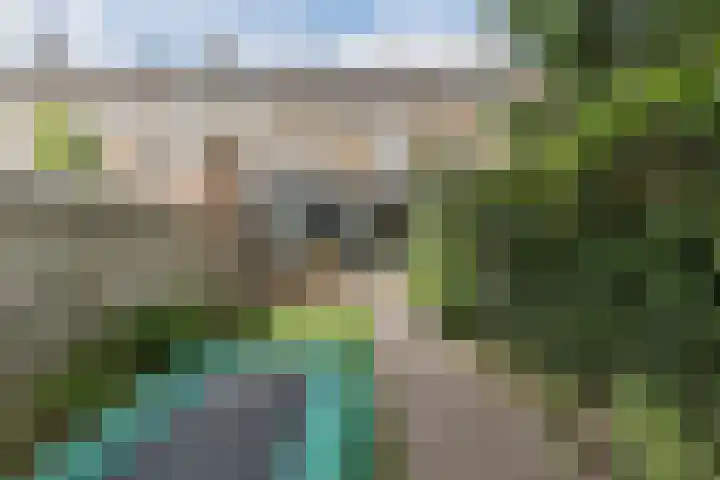 Petrus Dondersstraat 77 Eindhoven thumbnail 53