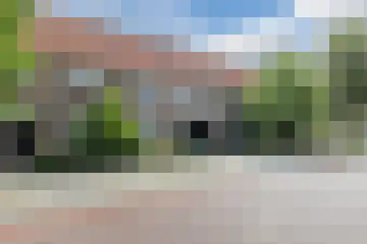 Petrus Dondersstraat 77 Eindhoven thumbnail 55