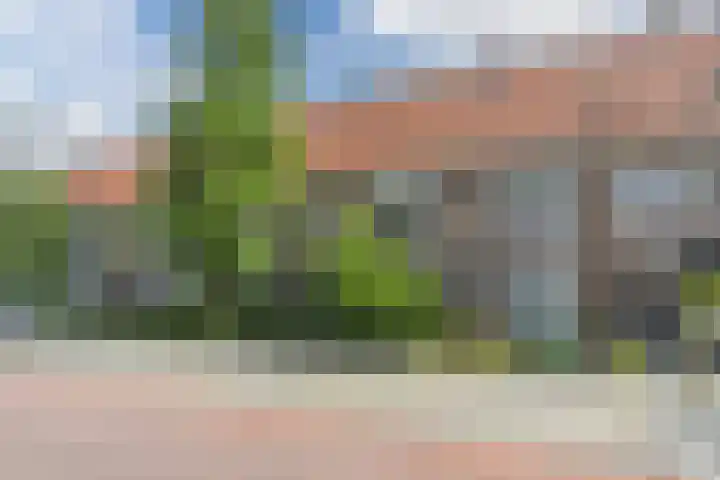 Petrus Dondersstraat 77 Eindhoven thumbnail 57
