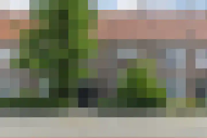 Petrus Dondersstraat 77 Eindhoven thumbnail 64