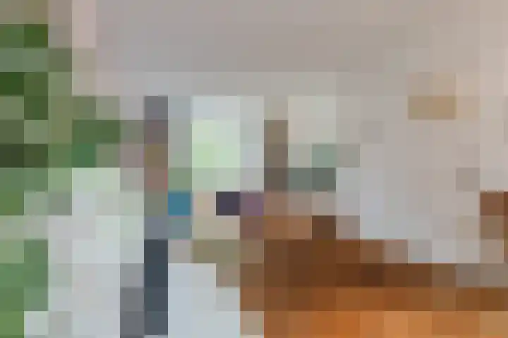 Petrus Dondersstraat 77 Eindhoven thumbnail 9