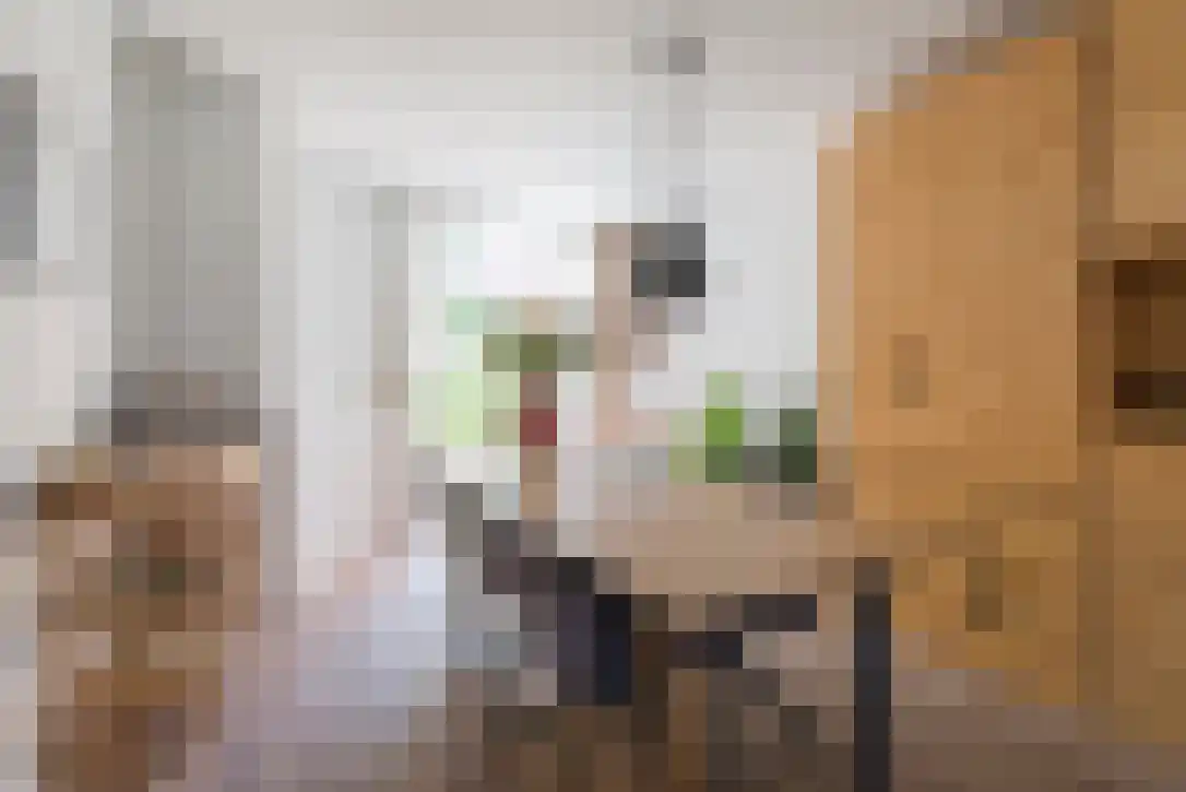 Petrus Dondersstraat 84 Eindhoven thumbnail 5