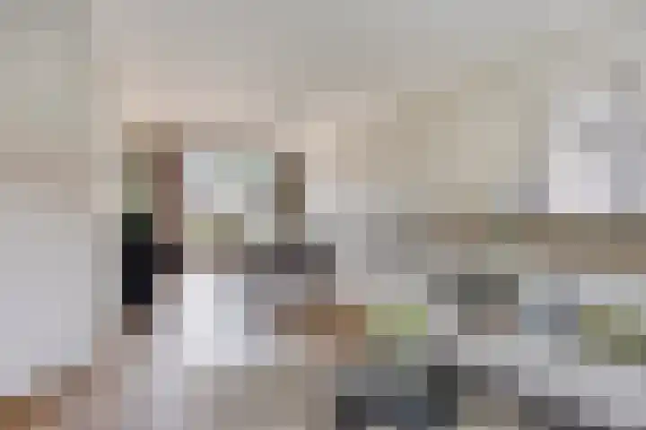 Petrus Dondersstraat 85 Eindhoven thumbnail 10