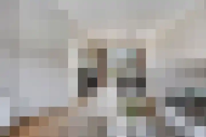 Petrus Dondersstraat 85 Eindhoven thumbnail 11