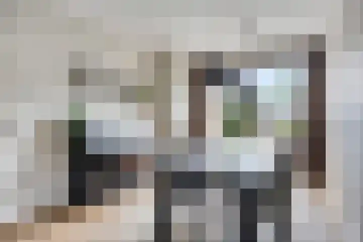 Petrus Dondersstraat 85 Eindhoven thumbnail 12
