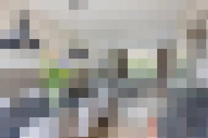 Petrus Dondersstraat 85 Eindhoven thumbnail 13