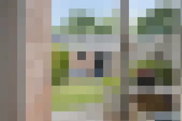 Petrus Dondersstraat 85 Eindhoven thumbnail 14