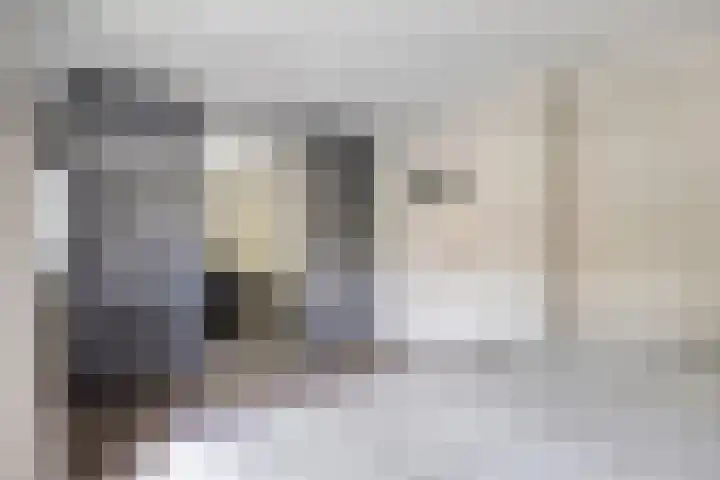 Petrus Dondersstraat 85 Eindhoven thumbnail 24