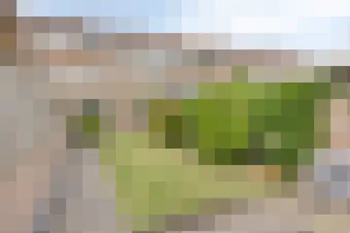 Petrus Dondersstraat 85 Eindhoven thumbnail 37