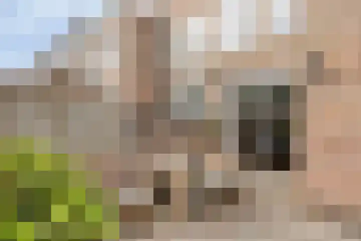 Petrus Dondersstraat 85 Eindhoven thumbnail 39