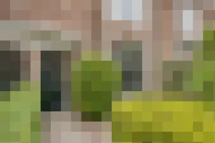 Petrus Dondersstraat 85 Eindhoven thumbnail 4