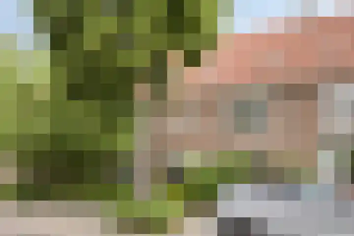 Petrus Dondersstraat 85 Eindhoven thumbnail 47