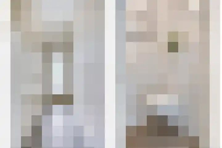 Petrus Dondersstraat 85 Eindhoven thumbnail 8