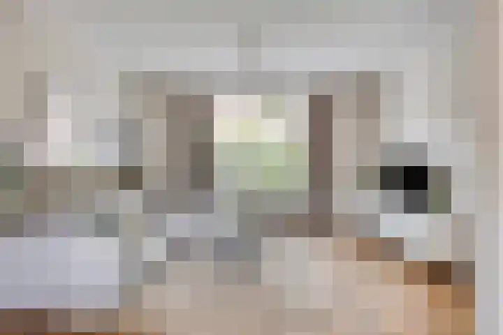 Petrus Dondersstraat 85 Eindhoven thumbnail 9