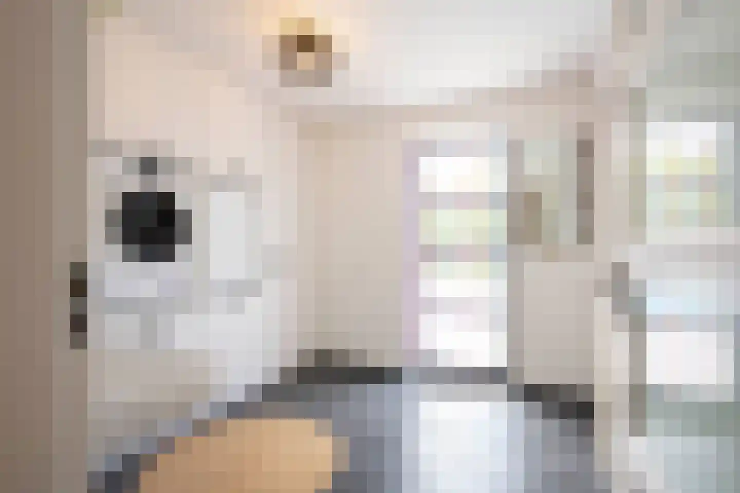 Petrus Dorrstraat 6 Kerkrade thumbnail 15
