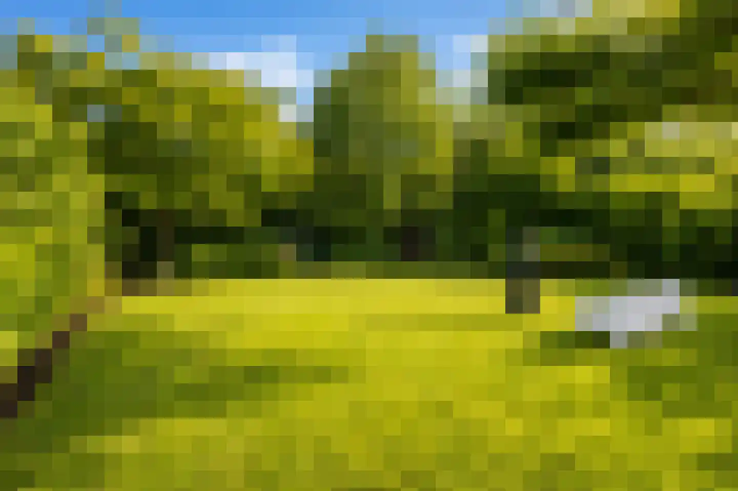 Petrus Dorrstraat 6 Kerkrade thumbnail 37