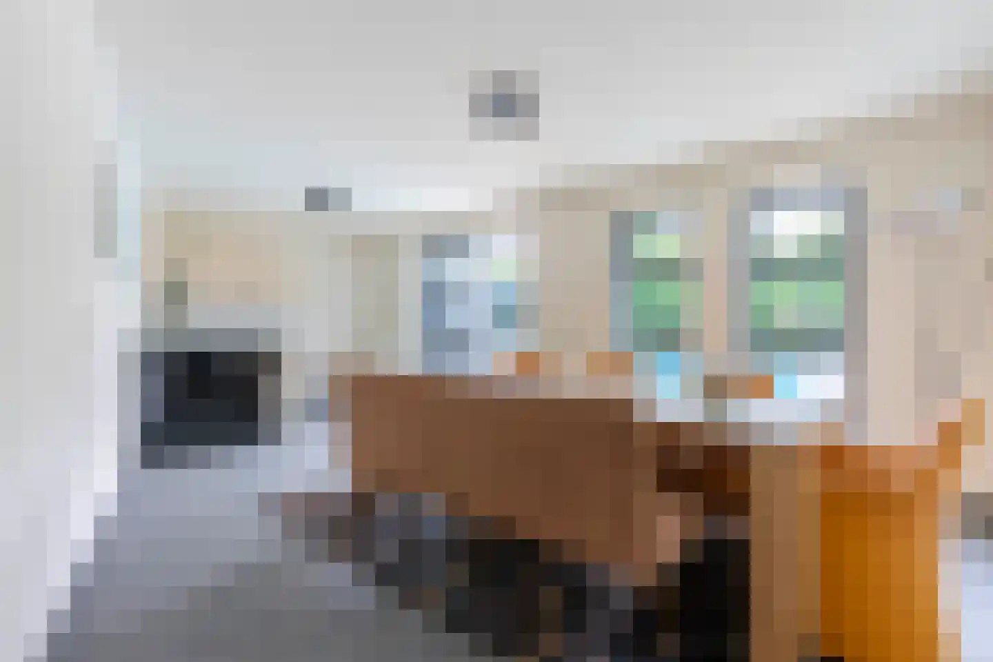 Petrus Dorrstraat 6 Kerkrade thumbnail 39