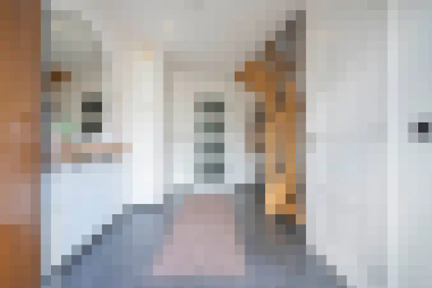 Petrus Dorrstraat 6 Kerkrade thumbnail 5
