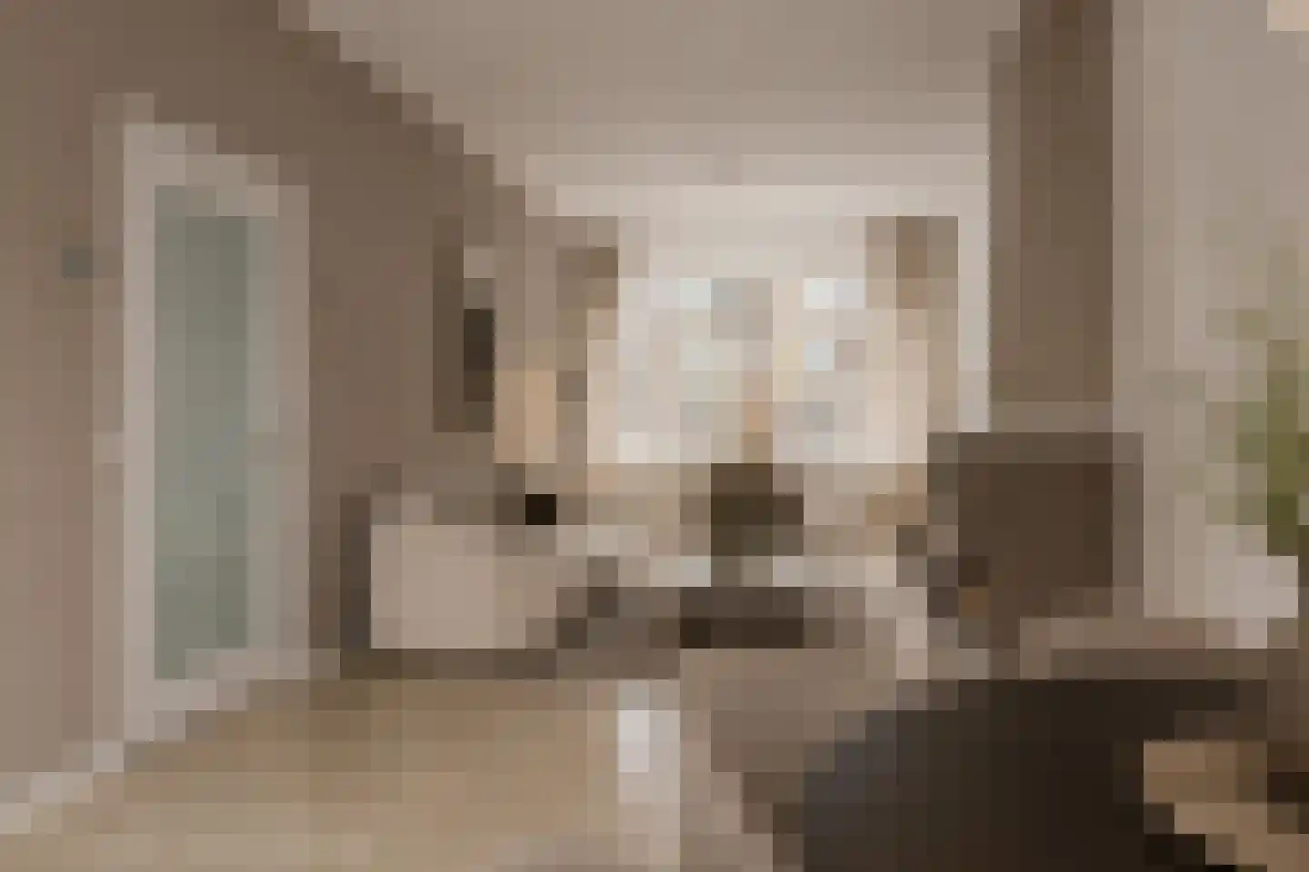 Petrus Driessenstraat 14 Groningen thumbnail 10