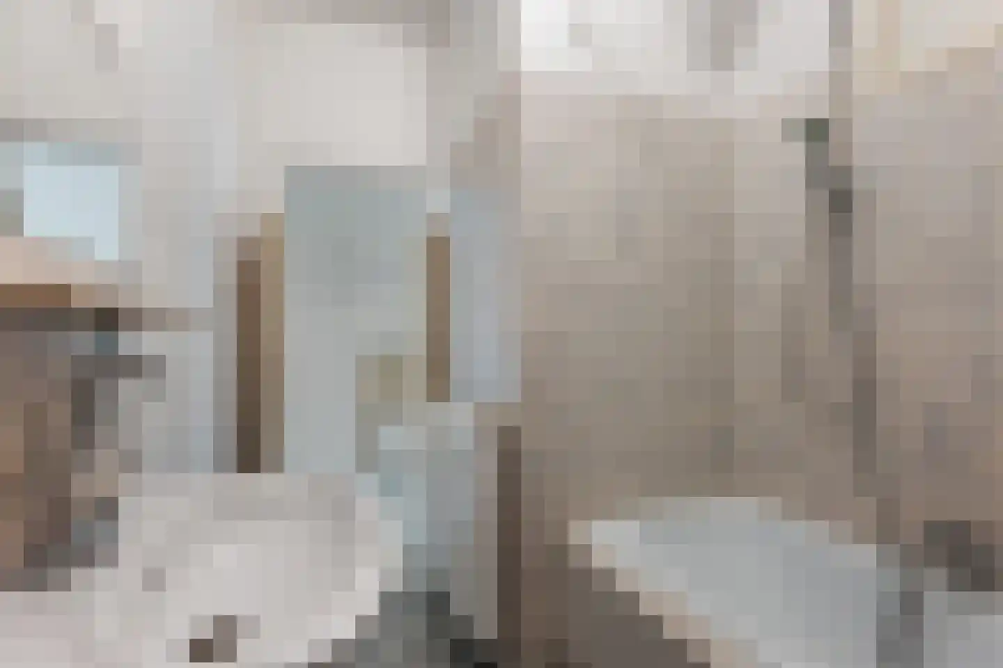 Petrus Driessenstraat 14 Groningen thumbnail 25