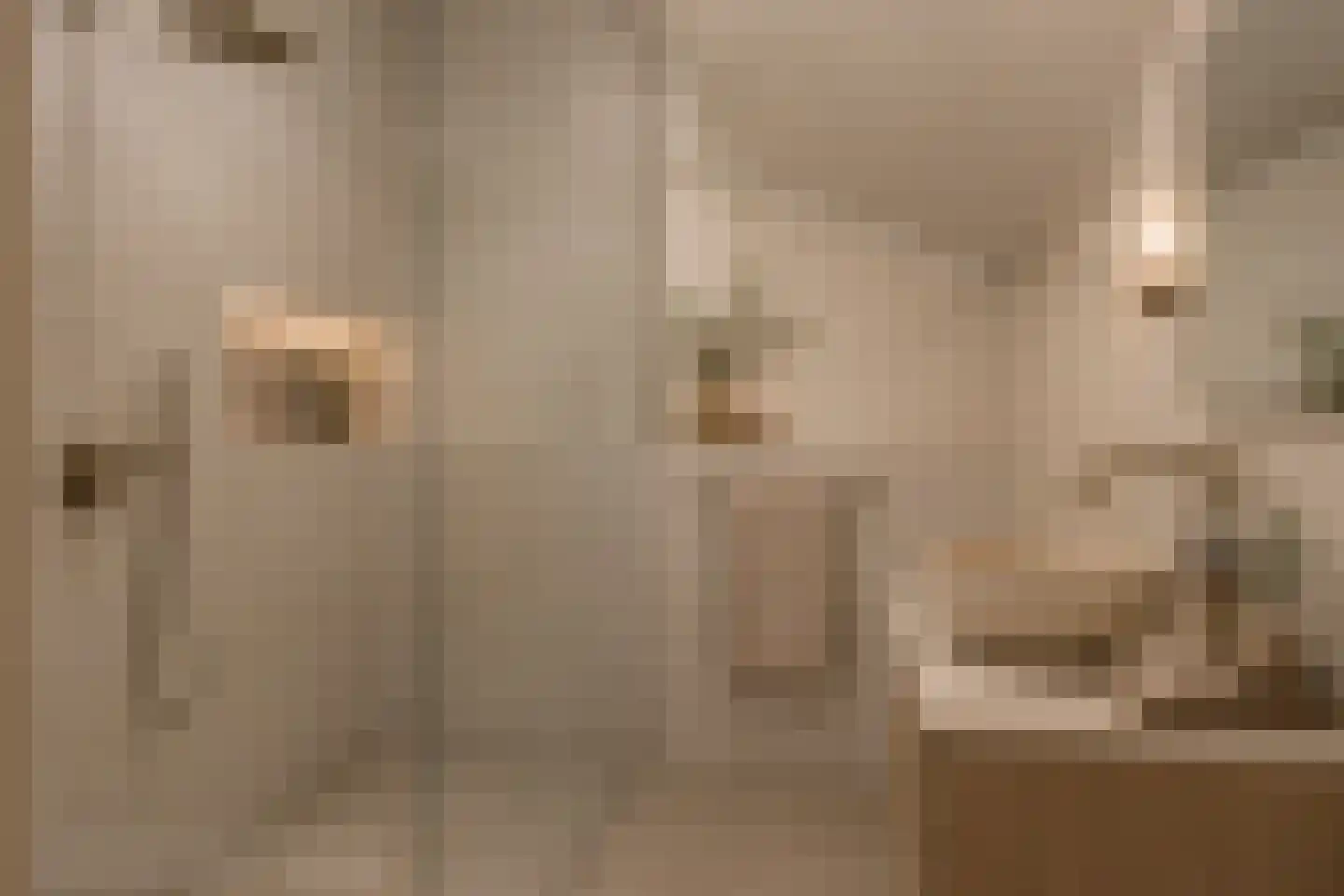 Petrus Driessenstraat 14 Groningen thumbnail 28