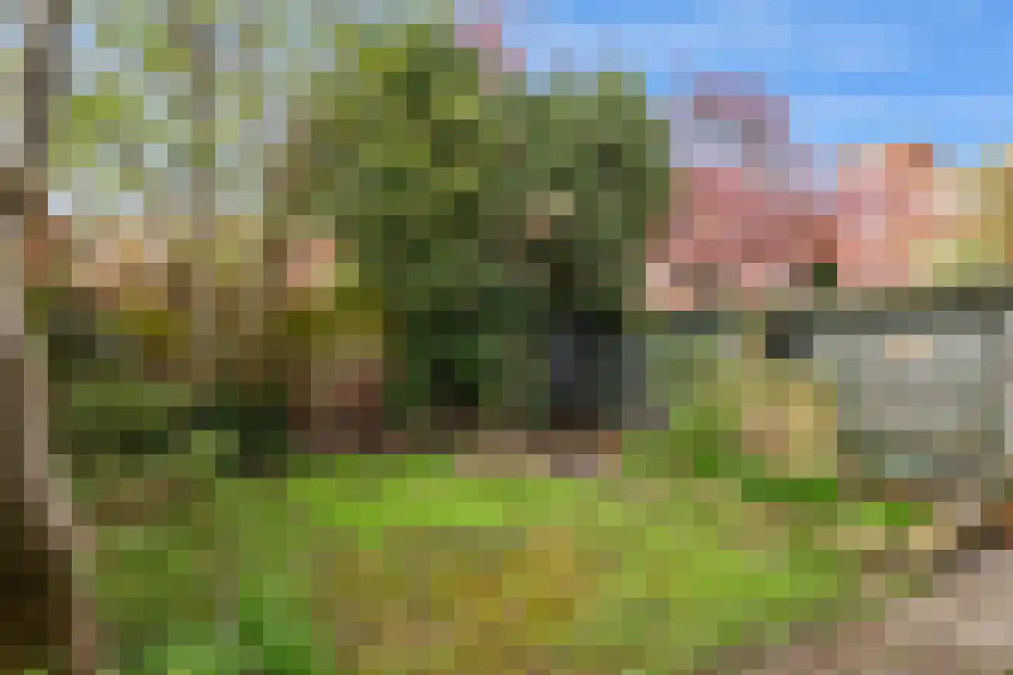 Petrus Driessenstraat 14 Groningen thumbnail 30