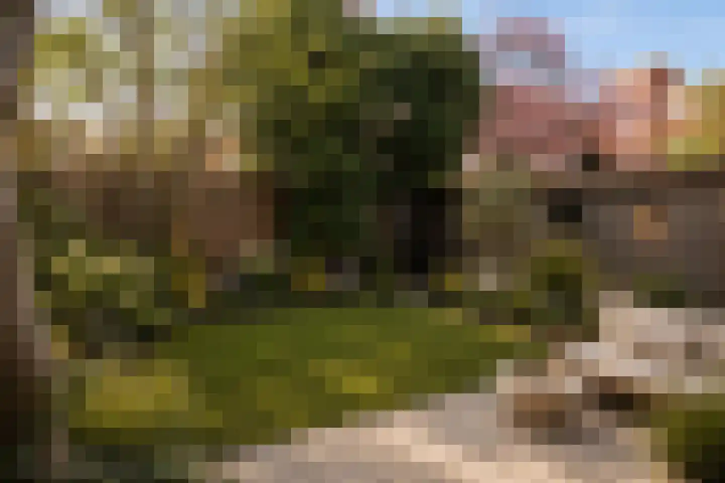 Petrus Driessenstraat 14 Groningen thumbnail 32