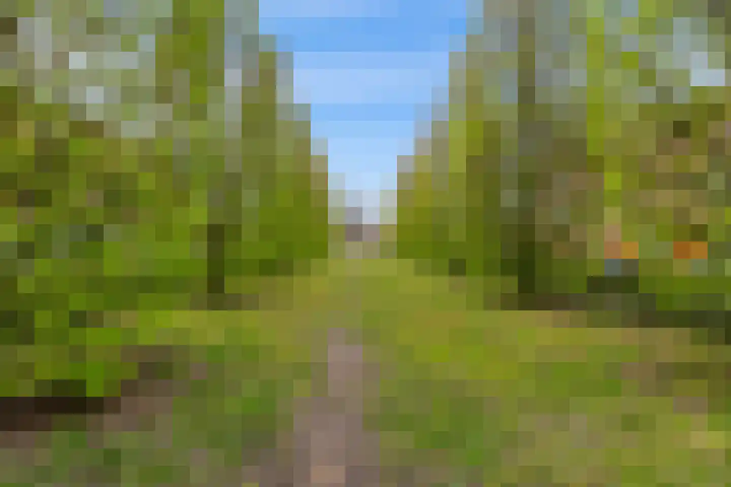 Petrus Driessenstraat 14 Groningen thumbnail 32